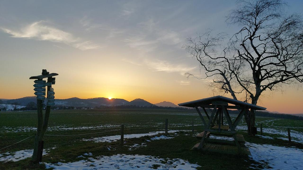 Apartment Am Hochwald Reinhardtsdorf-Schona Bagian luar foto