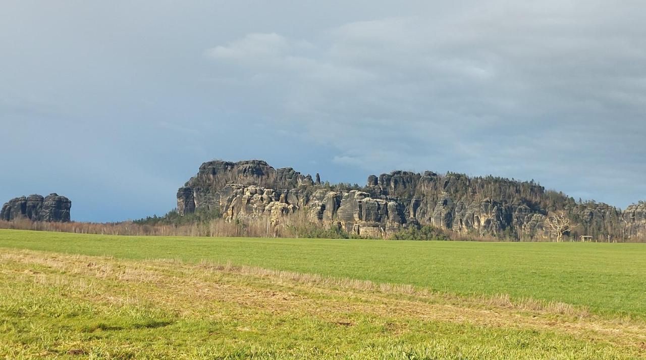 Apartment Am Hochwald Reinhardtsdorf-Schona Bagian luar foto